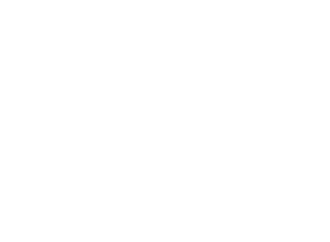 Stamp Out Fraud logo